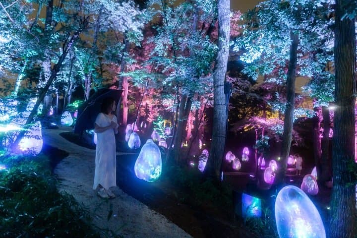 teamLab武藏野樹林PARK