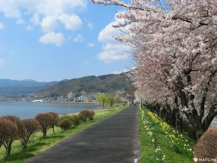 Lake Suwa: A Trip For All Seasons And Five Other Worthwhile Nearby Sites