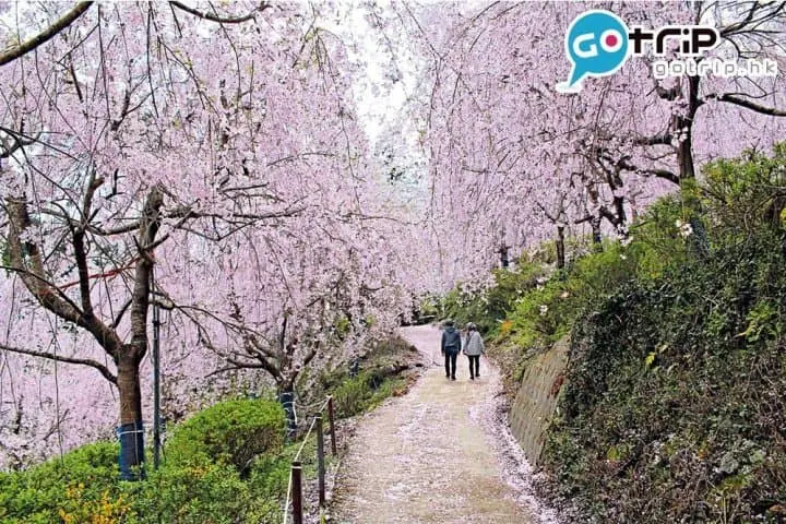 四國好去處｜40個最強超美打卡四國景點懶人包