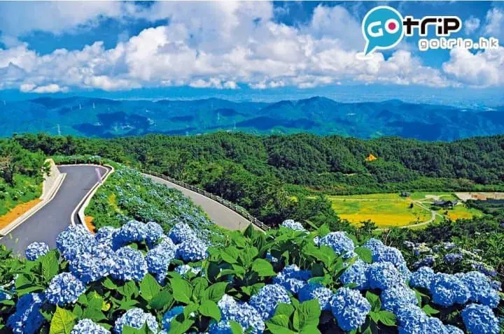 四國好去處｜40個最強超美打卡四國景點懶人包