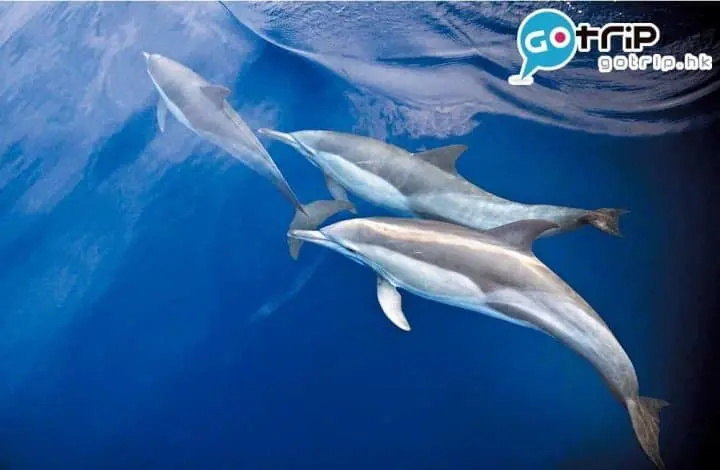 四國好去處｜40個最強超美打卡四國景點懶人包