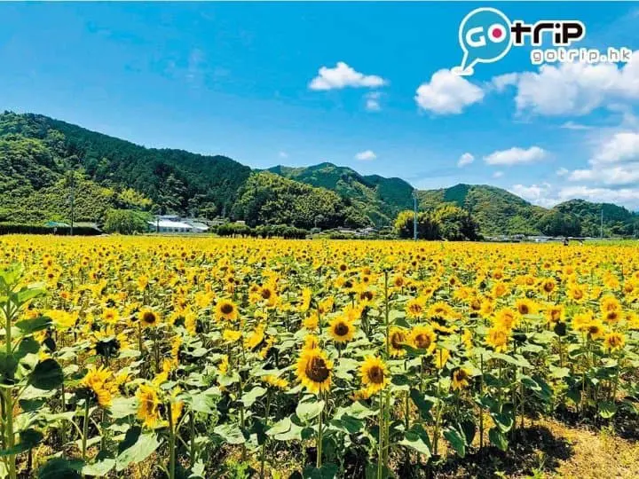 四國好去處｜40個最強超美打卡四國景點懶人包