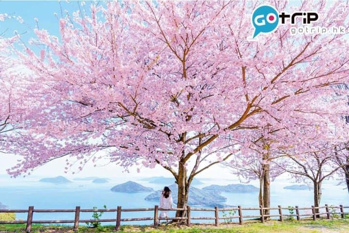 四國好去處|40個最強超美打卡四國景點懶人包