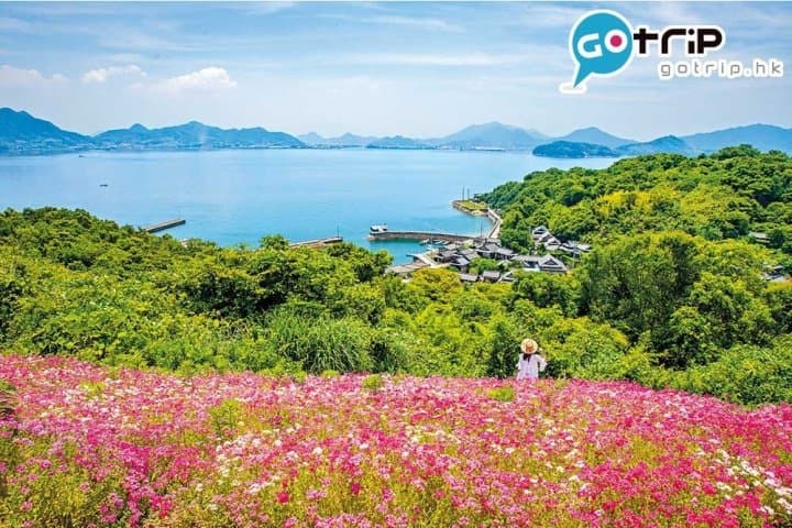 四國好去處|40個最強超美打卡四國景點懶人包