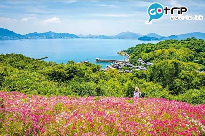 四國好去處｜40個最強超美打卡四國景點懶人包