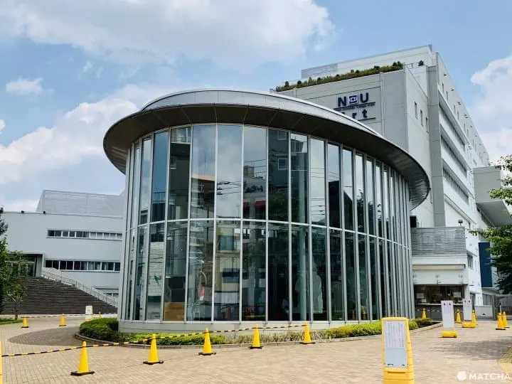 日本大學藝術學部