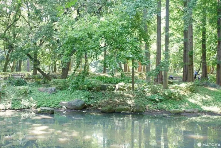 Rinshi no Mori Park