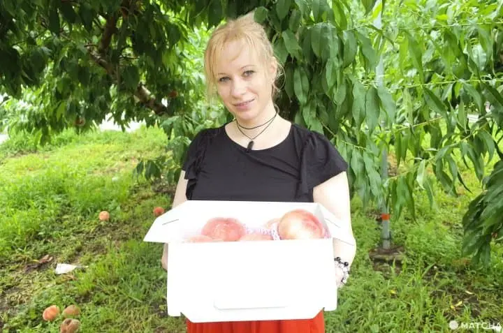 Fuefuki, Yamanashi - Delicious Wine, Fresh Fruits And Hot Springs