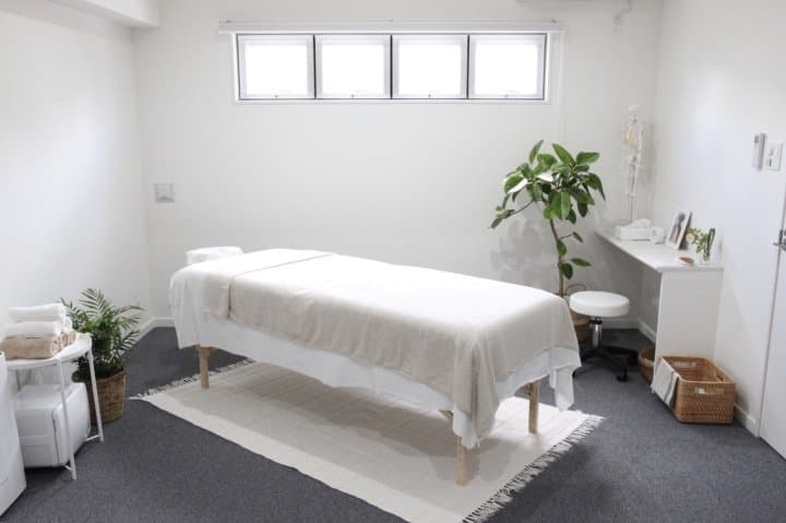 yomitan holistics