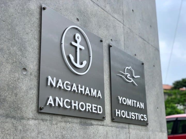yomitan holistics