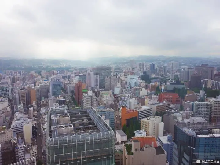 仙台夜景瞭望台