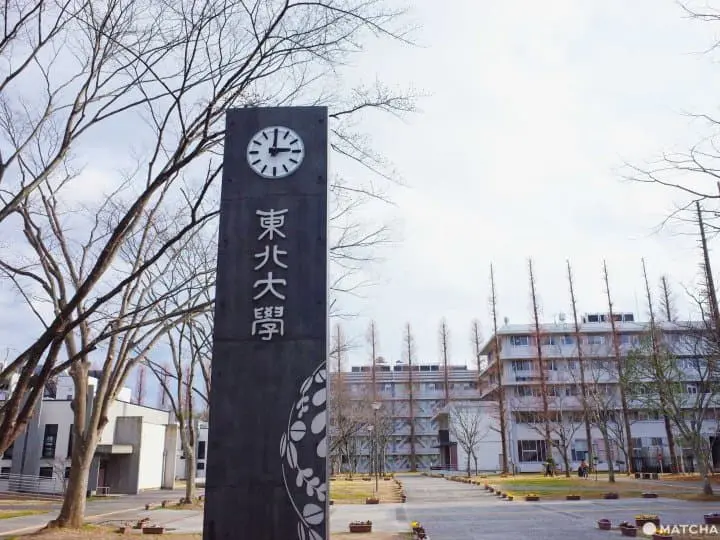 仙台帝國大學東北大學