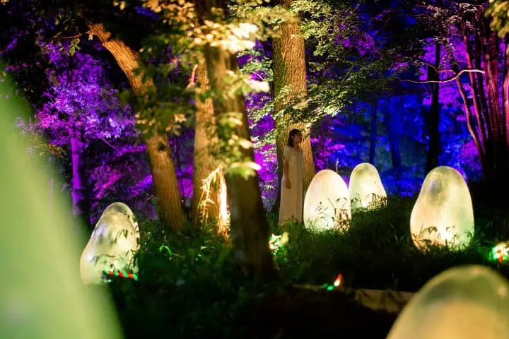 Autonomous Resonating Life - Liquified Light Color, Sunrise and Sunset