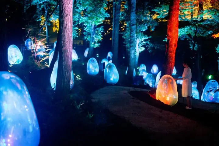 Be Mezmerized By teamLab's Acorn Forest Of Color And Light In Saitama