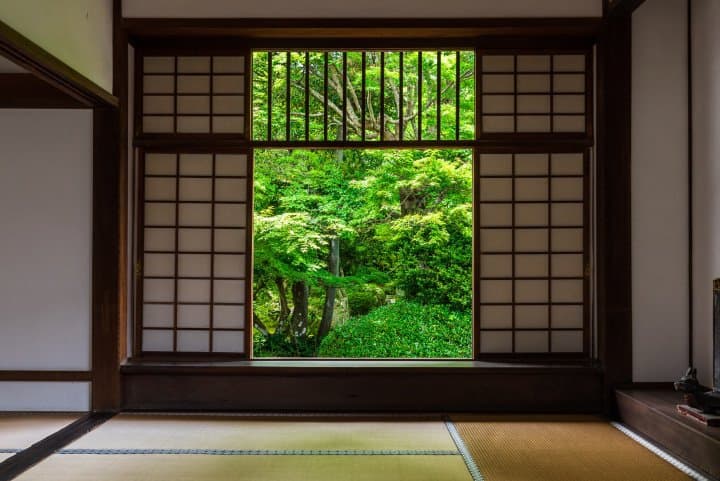 window of delusion