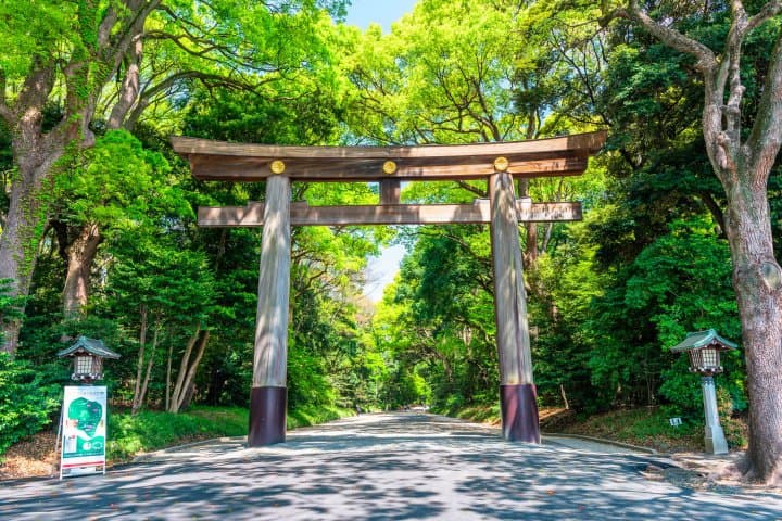 meiji jingu shrine gate