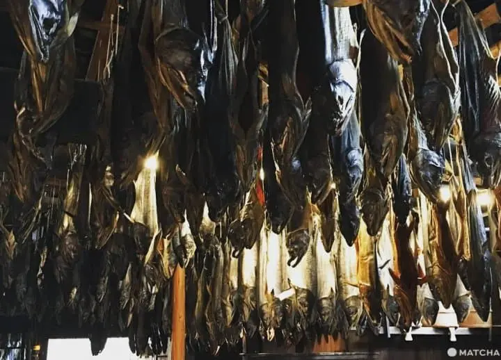 4 Spectacular Day-trips from Niigata City