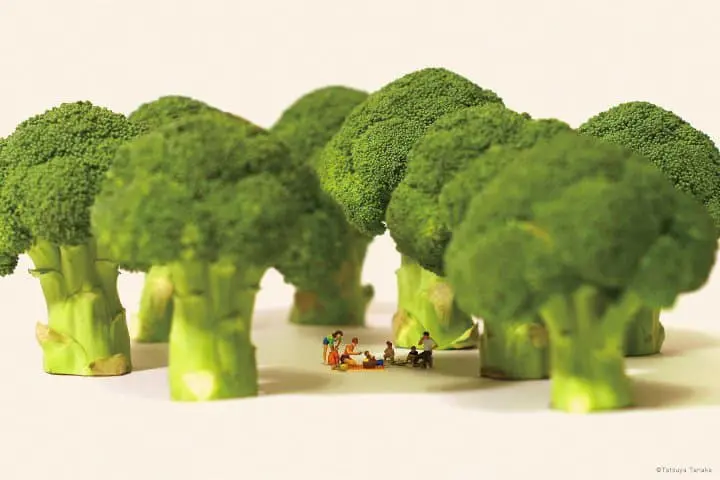 田中達也 ブロッコリー