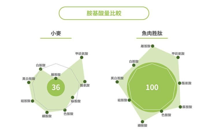 一天只要不到100日圓!悠久傳統的鈴廣魚板,用自家技術開發的「Sakana No Chikara」