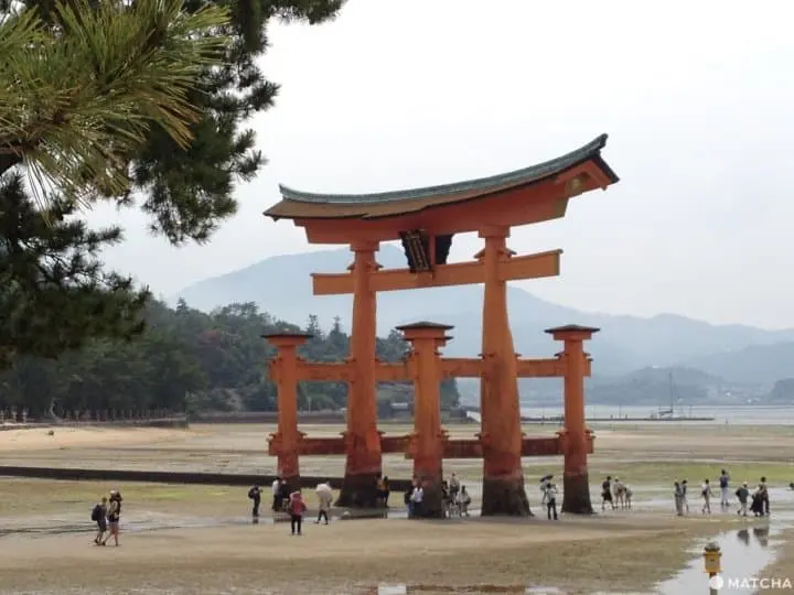 The Nature and Beauty of Miyajima