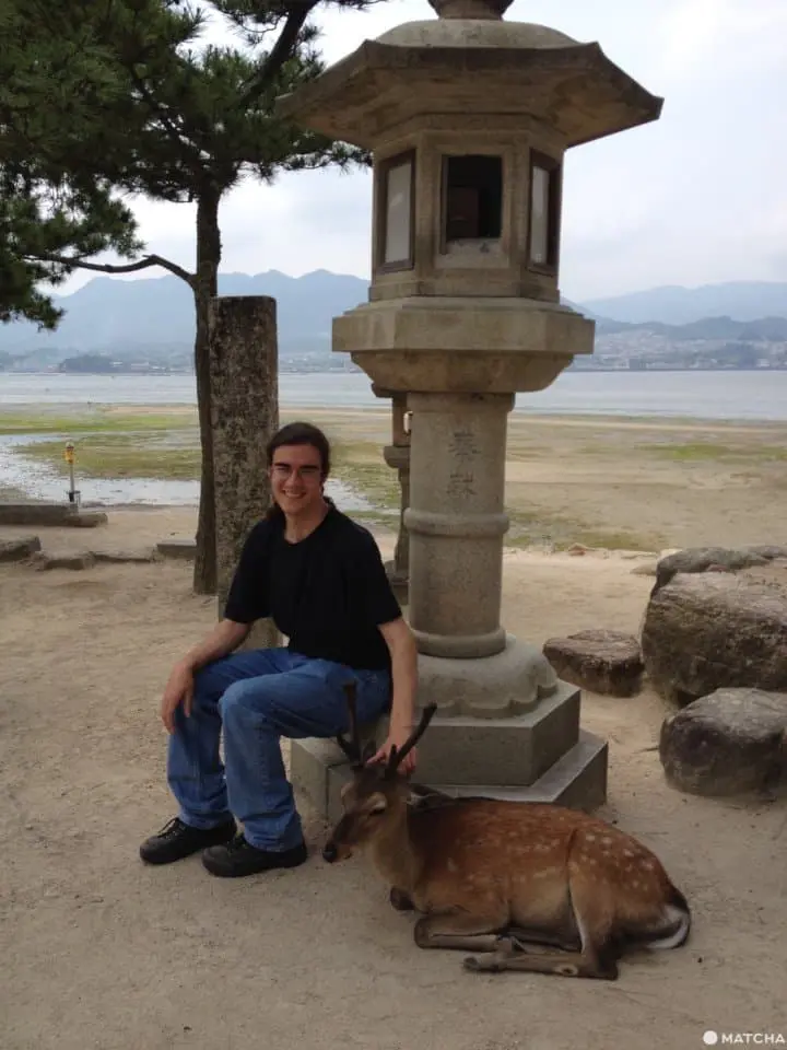 The Nature and Beauty of Miyajima