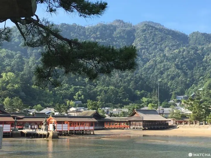 Tips For Enjoying the Nature and Beauty of Miyajima