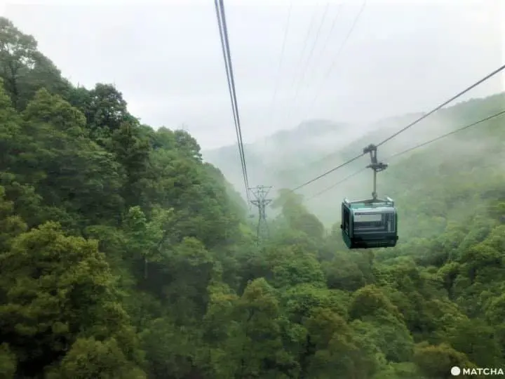 Miyajima: Tips For Enjoying Its Nature and Beauty