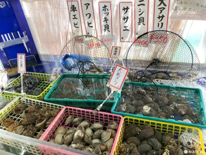 廣島美食購物輕旅行1天行程 市內輕鬆遊走吃盡廣島美食