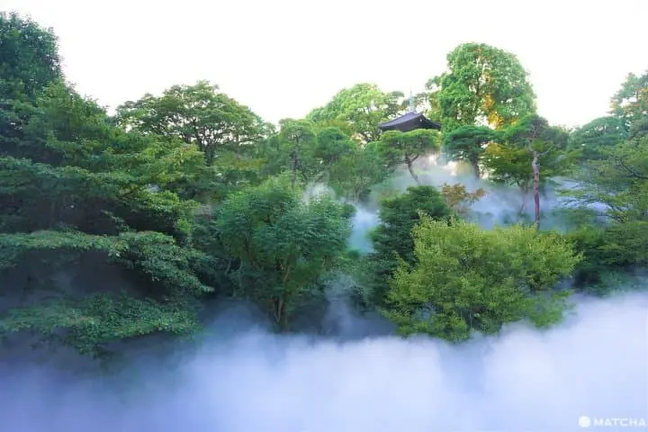 View A Sea Of Clouds In The Heart Of The City At Hotel Chinzanso Tokyo