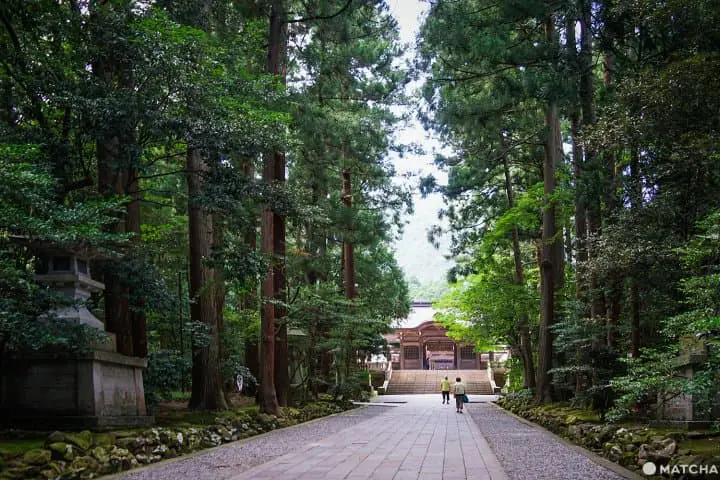 นีงาตะ 2