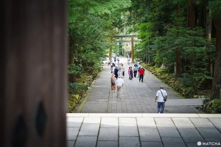 นีงาตะ 2