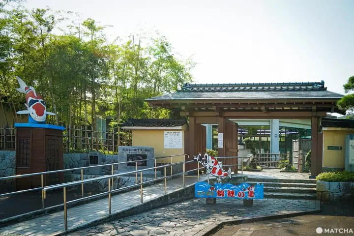 นีงาตะ 2