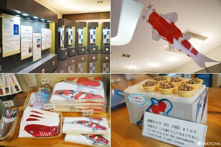 นีงาตะ 2