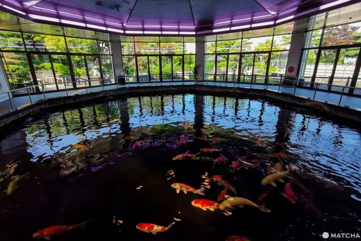 นีงาตะ 2