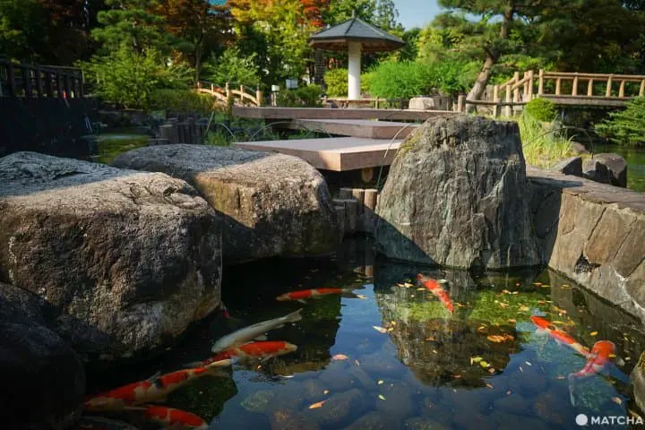 นีงาตะ 2