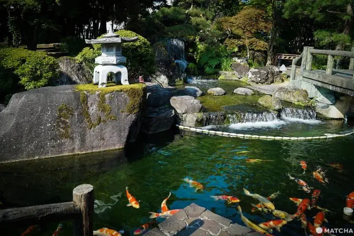 นีงาตะ 2