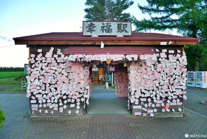 【北海道】帶廣在地人推薦!十勝帶廣美景美食o選
