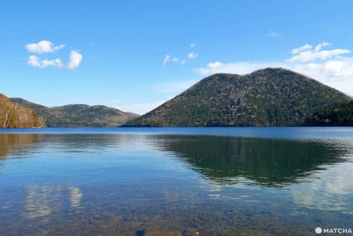 【北海道】帶廣在地人推薦!十勝帶廣美景美食o選