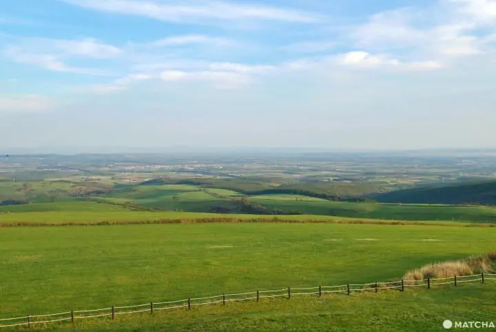 【北海道】帶廣在地人推薦！十勝帶廣美景美食o選