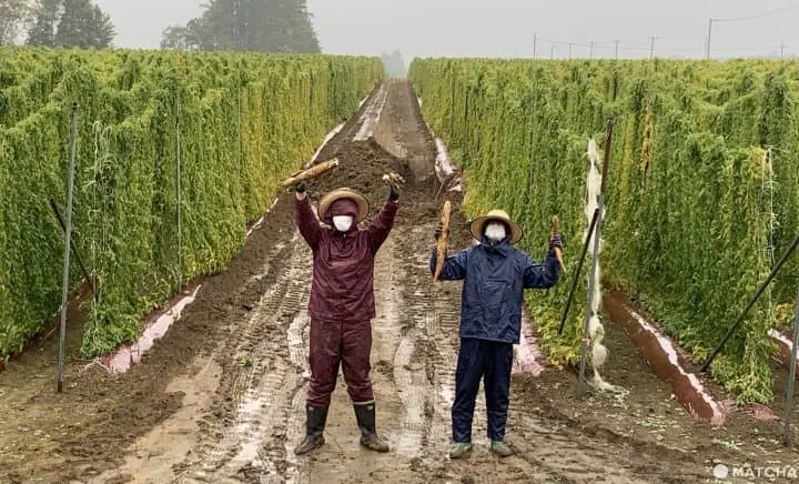 【北海道】帶廣在地人推薦！十勝帶廣美景美食o選