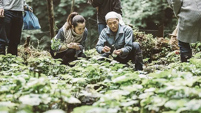 NIPPONIA: Experience Life In A Japanese Village