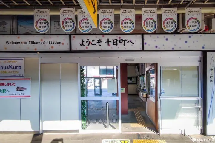 Tsumari Art Field ท่องไปในทุ่งศิลป์ของเมืองโทคามาจิ จังหวัดนีงาตะ