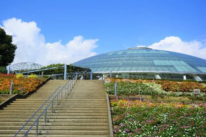 Visit Fuefuki In Fall To Enjoy Delicious Grapes And Wine Tasting