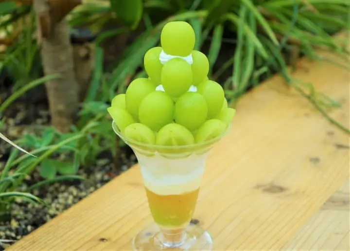 Visit Fuefuki In Fall To Enjoy Delicious Grapes And Wine Tasting