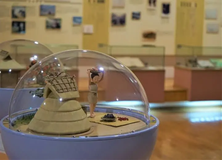 Visit Fuefuki In Fall To Enjoy Delicious Grapes And Wine Tasting