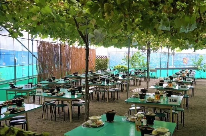 Visit Fuefuki In Fall To Enjoy Delicious Grapes And Wine Tasting
