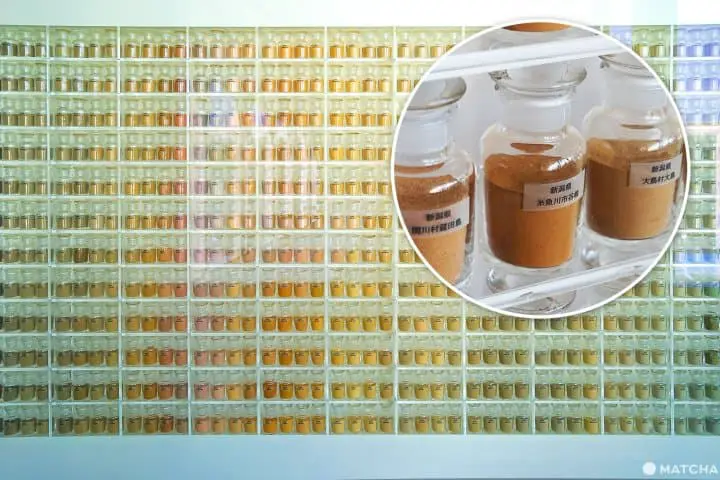 Tsumari Art Field ท่องไปในทุ่งศิลป์ของเมืองโทคามาจิ จังหวัดนีงาตะ