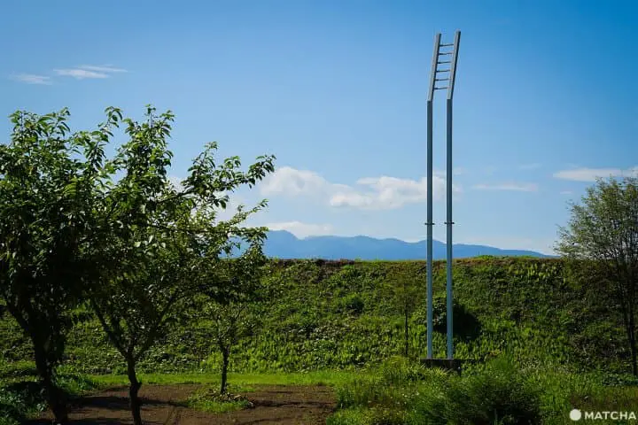 Tsumari Art Field ท่องไปในทุ่งศิลป์ของเมืองโทคามาจิ จังหวัดนีงาตะ