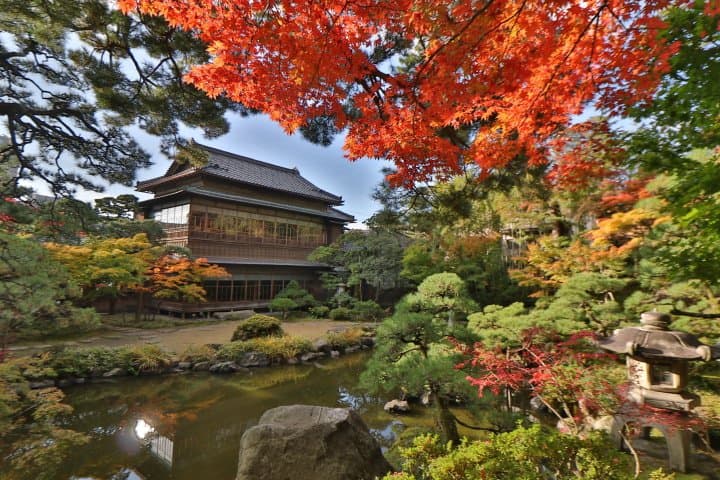 The Gateway to the Sea of Japan! 8 Spots to Experience Niigata City and Sado Island