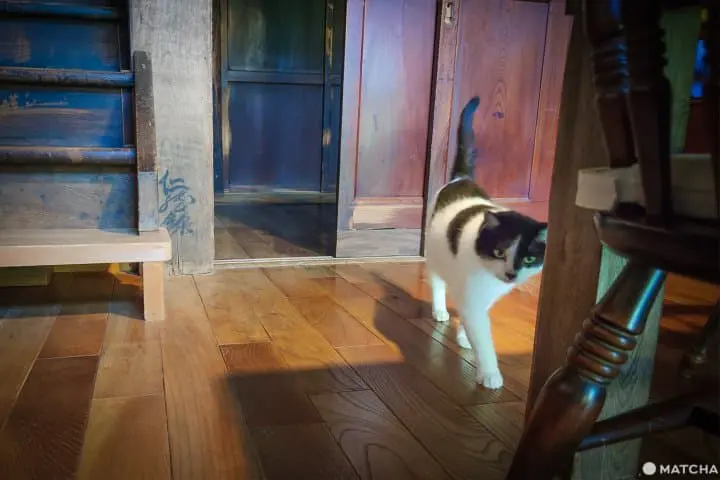 Tsumari Art Field ท่องไปในทุ่งศิลป์ของเมืองโทคามาจิ จังหวัดนีงาตะ